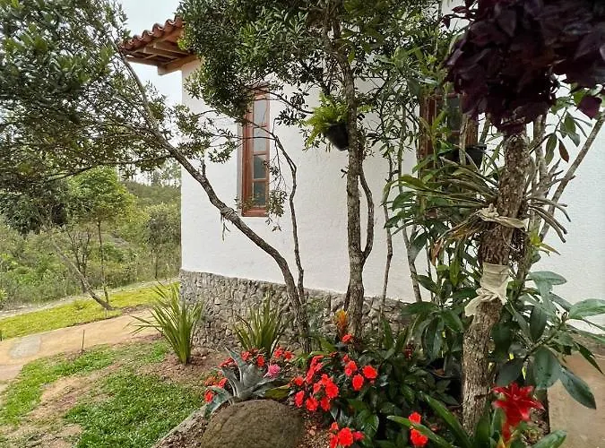 Chale Flor De Maracuja